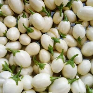 Aubergine blanche – Carton 10 kg – Witte aubergine – Doos 10 kg