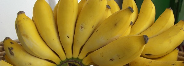 Apple Banana d’Ouganda – Carton 10 kg - Appelbanaan uit Oeganda – Doos 10 kg