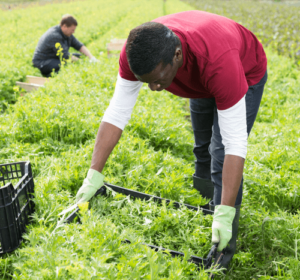 Untitled design (95) (1)