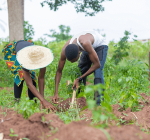 Untitled design (96) (1)