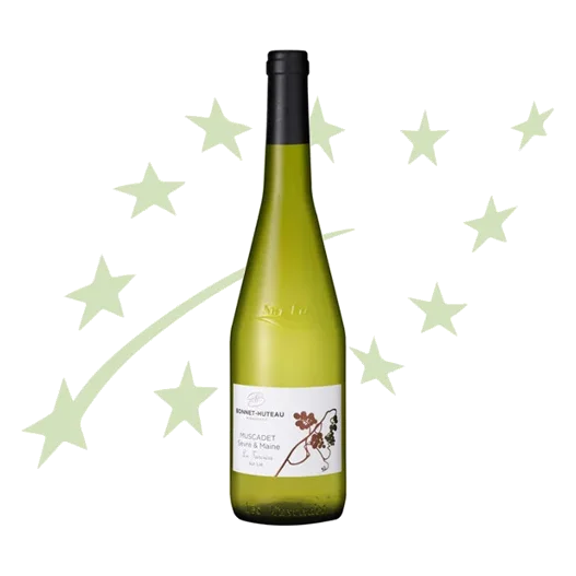 Bonnets Muscadet Bonnet-Huteau Bio Blanc 75 cl