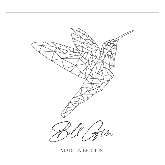 Gin Bill 50 cl