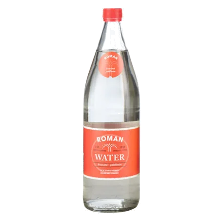 Roman Eau Gaz 12 × 1 L