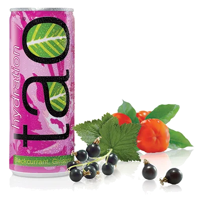 Tao Botanic Blackcurrant Mauve Cans 24 × 25 cl