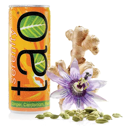 Tao Botanic Ginger Orange Cans 24 × 25 cl