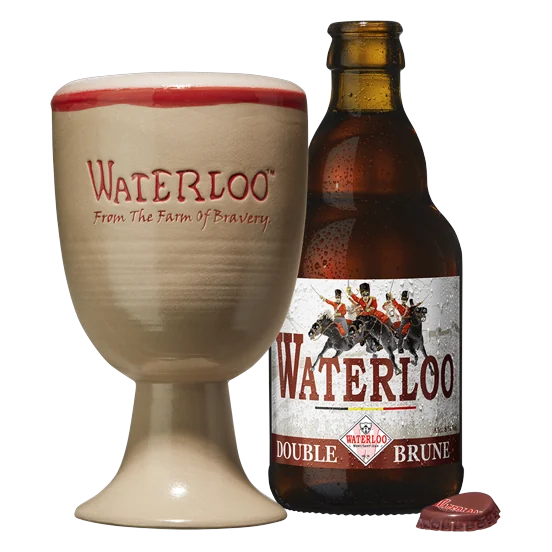 Waterloo Double Dark 24 × 33 cl